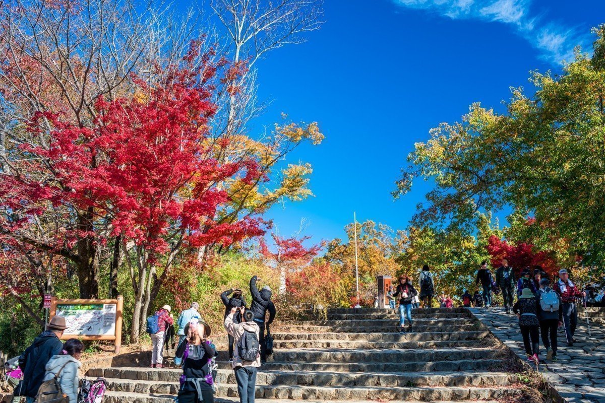 【2020年版】東京都八王子市 認証保育園・地域型保育園 全33園をご紹介！の画像