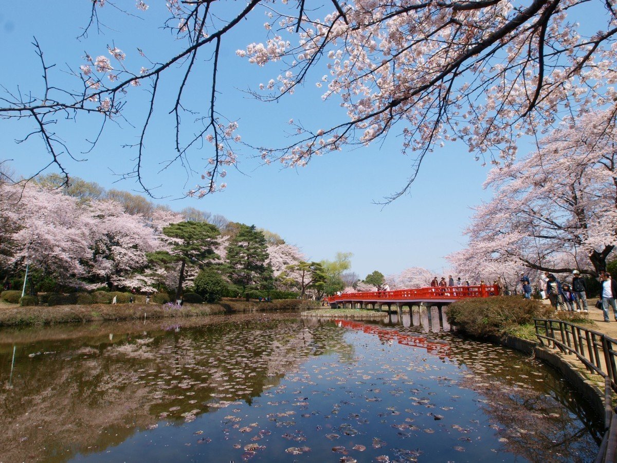 【2020年版】さいたま市岩槻区認可保育園全16園をご紹介！～パパも保育に参加しやすい環境！～の画像