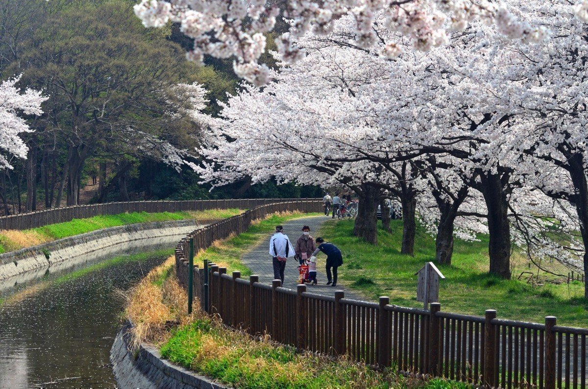 【2020年版】さいたま市見沼区の認可保育園 全26園をご紹介！～緑豊かな街でのびのび子育て～の画像