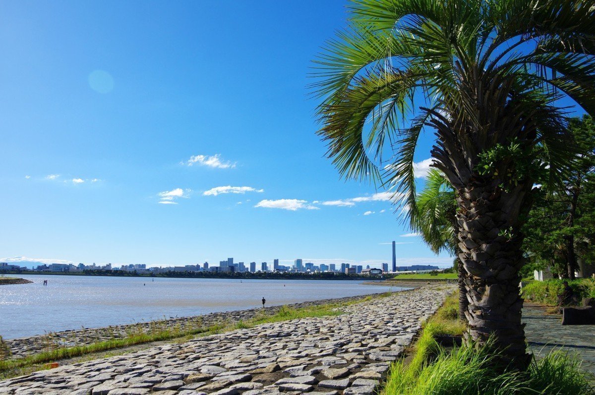 【2020年版】東京都江戸川区 認可外保育園 全36園をご紹介！の画像