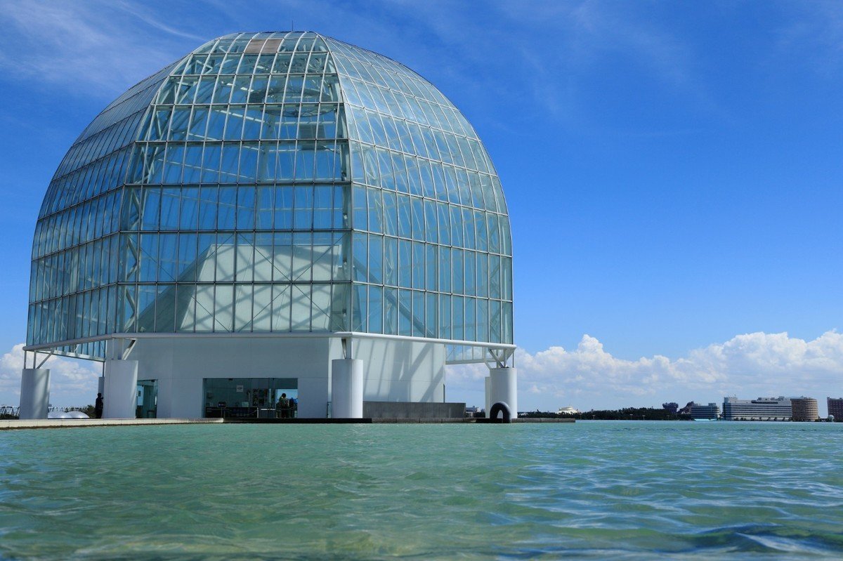 【2020年版】東京都江戸川区認可保育園 全133園を紹介！～区内出生率第2位のファミリー層に人気地区～の画像