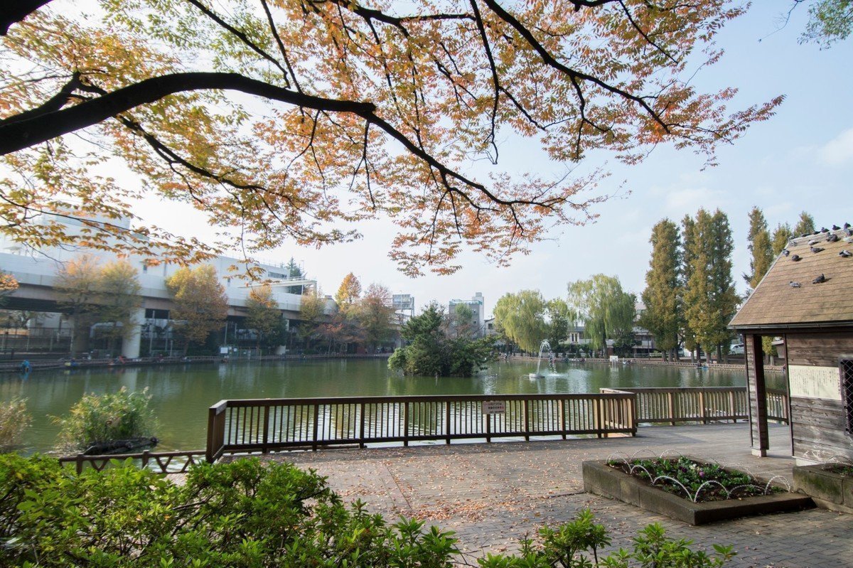 【2020年版】東京都板橋区 認証保育園・地域型保育園 全72園をご紹介！の画像