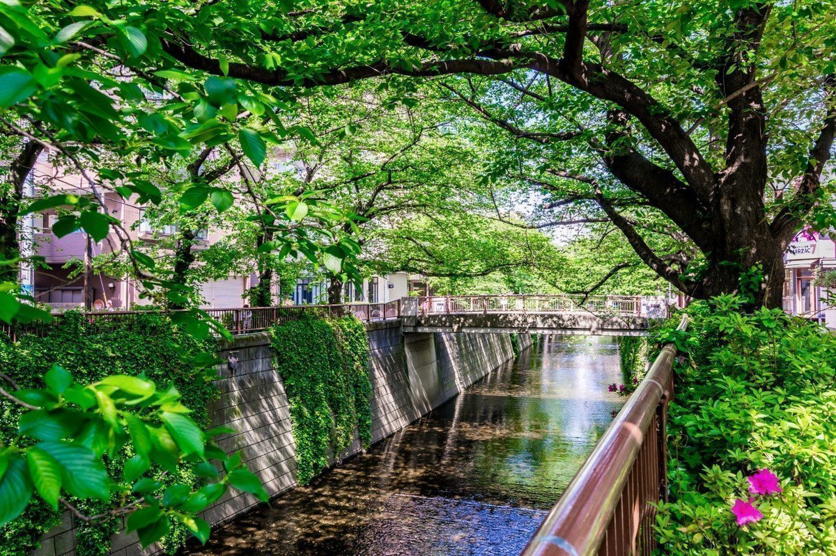 【2020年版】東京都目黒区 認証保育園・地域型保育園 全29園をご紹介！の画像