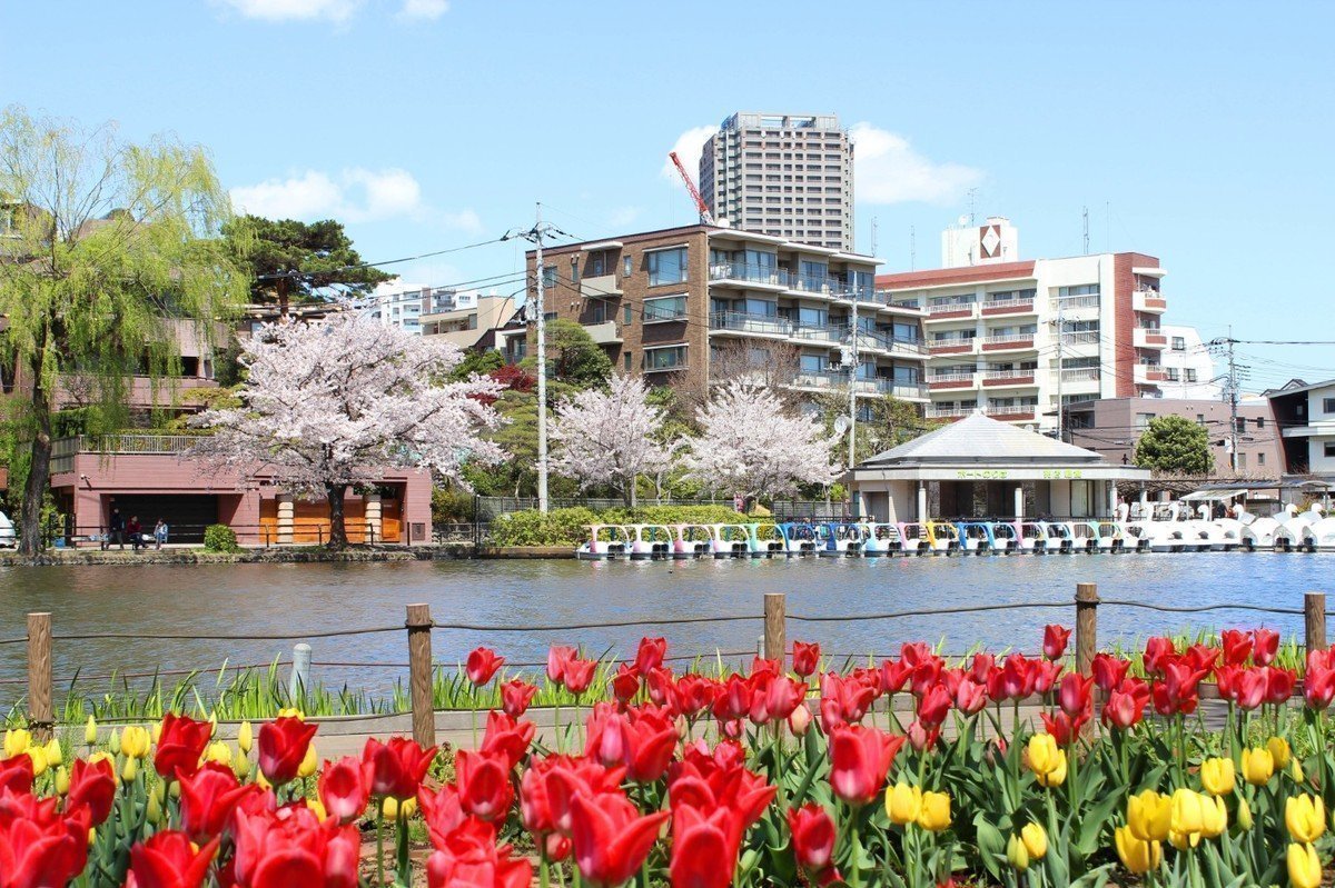 【2020年版】東京都練馬区公立認可保育園全60園ご紹介！～区内公園数670施設！子育て人気№1都市～の画像