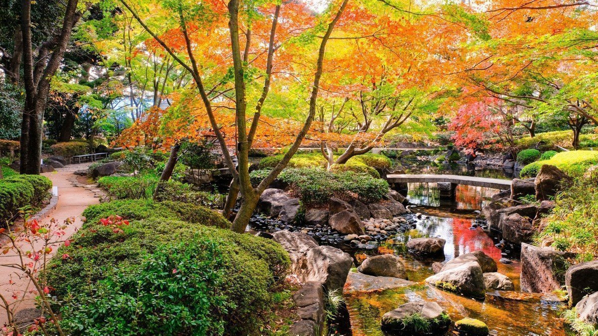 【2020年版】東京都杉並区公立認可保育園 全39園を紹介！～目指すは希望者が全員が認可保育園へ～の画像