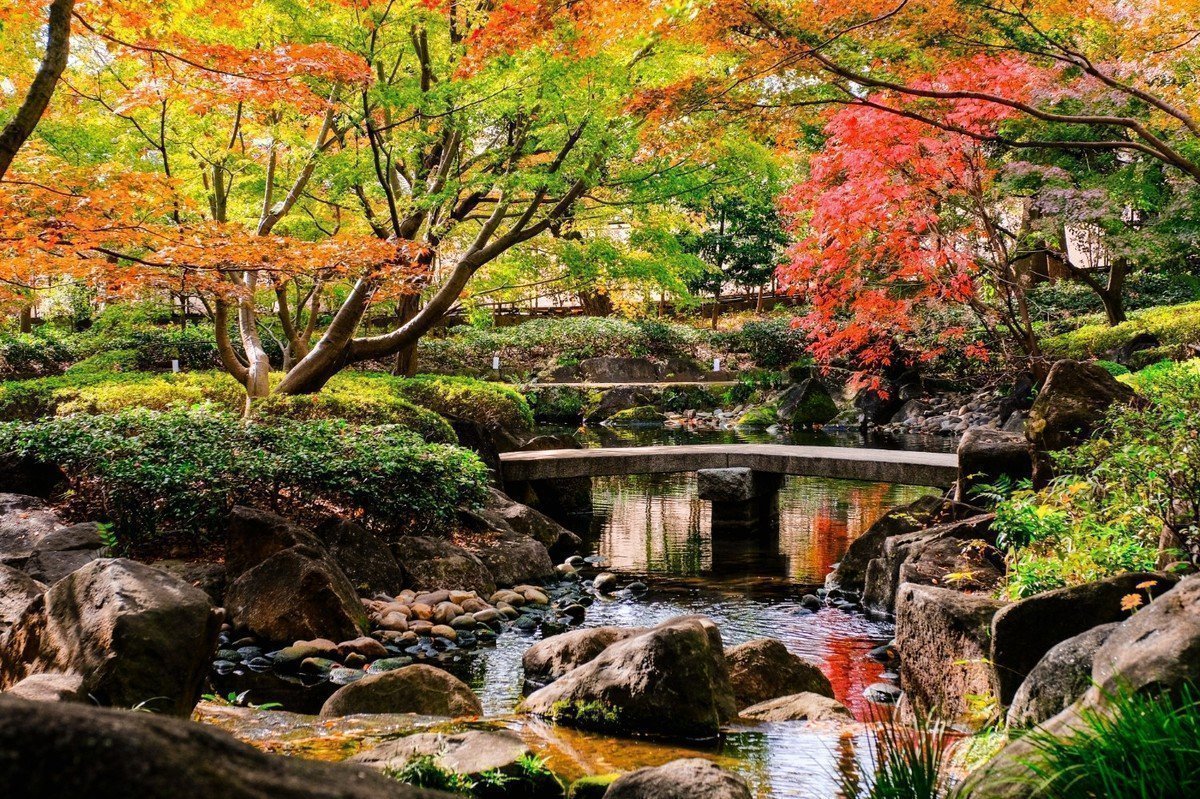 【2020年版】東京都杉並区 認証保育園・地域型保育園 全55園をご紹介！の画像